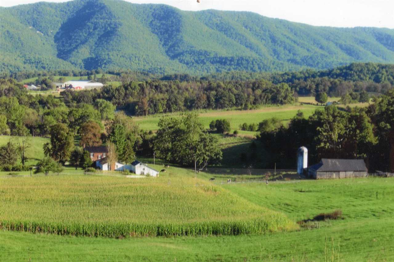 258 Red Hill Road Fairfield, VA 24435 - Photo 3 of 47 a view of a garden with an outdoor seating