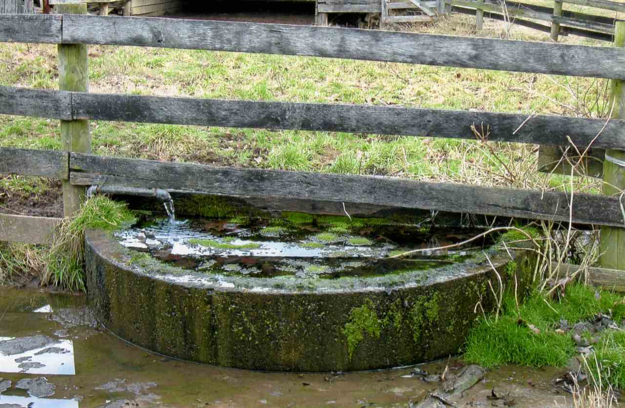 258 Red Hill Road Fairfield, VA 24435 - Photo 38 of 47 a view of a wooden small yard