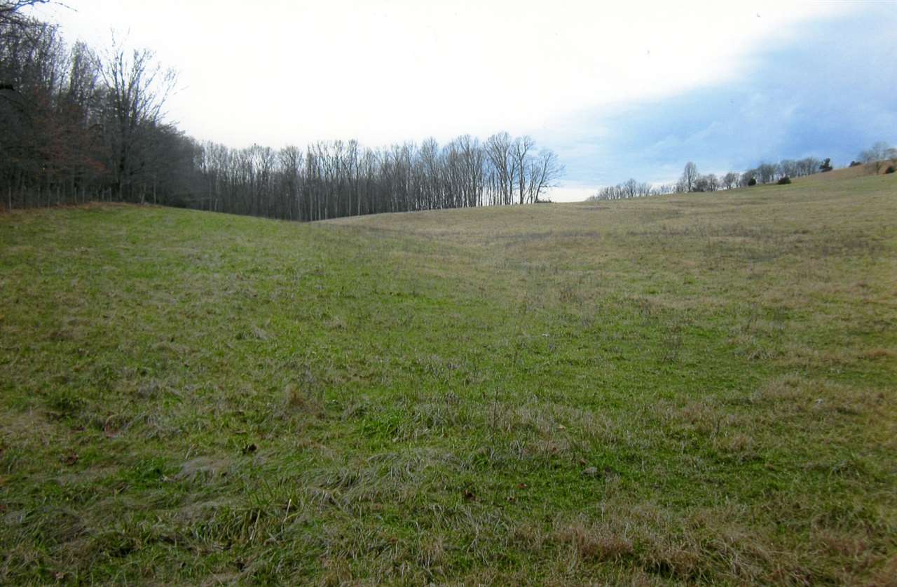 258 Red Hill Road Fairfield, VA 24435 - Photo 39 of 47 a view of an outdoor space and a yard