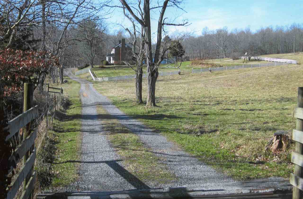 258 Red Hill Road Fairfield, VA 24435 - Photo 4 of 47 a view of yard with tree
