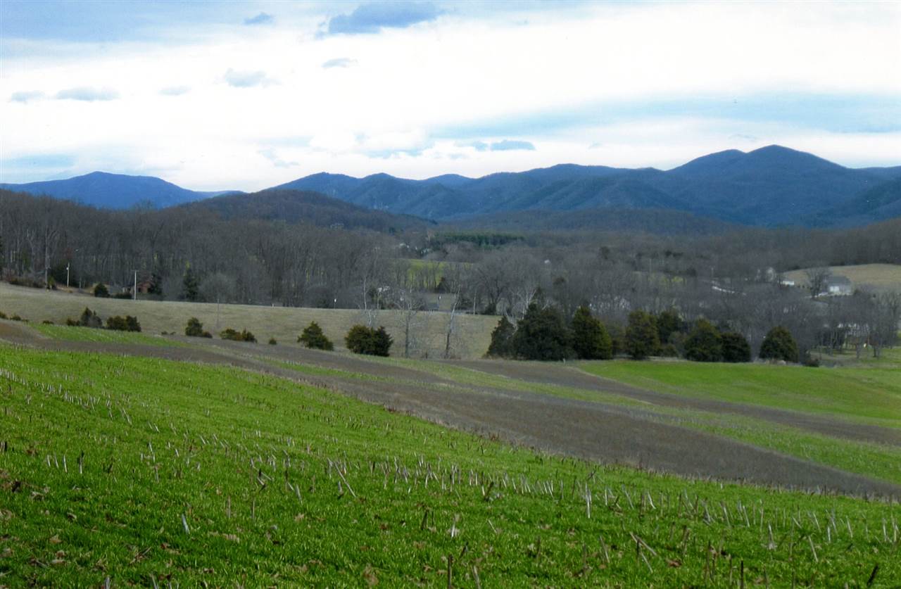 258 Red Hill Road Fairfield, VA 24435 - Photo 41 of 47 a view of a back yard