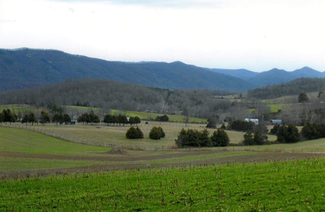 258 Red Hill Road Fairfield, VA 24435 - Photo 42 of 47 a view of a house with a yard