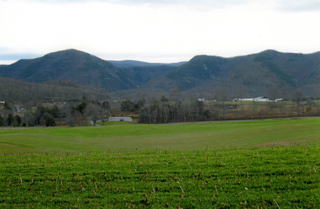 258 Red Hill Road Fairfield, VA 24435 - Photo 43 of 47 a view of outdoor space and mountain view
