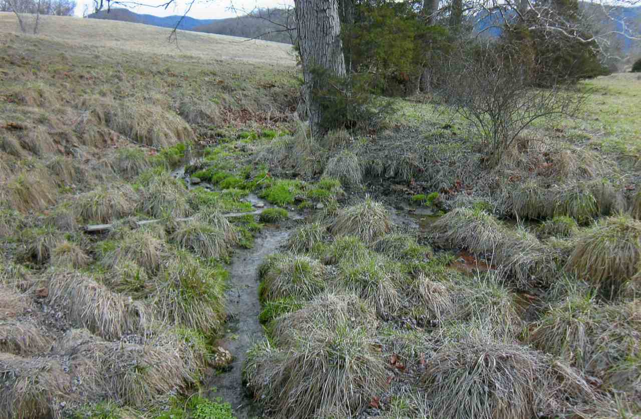 258 Red Hill Road Fairfield, VA 24435 - Photo 45 of 47 a view of a field of grass and trees