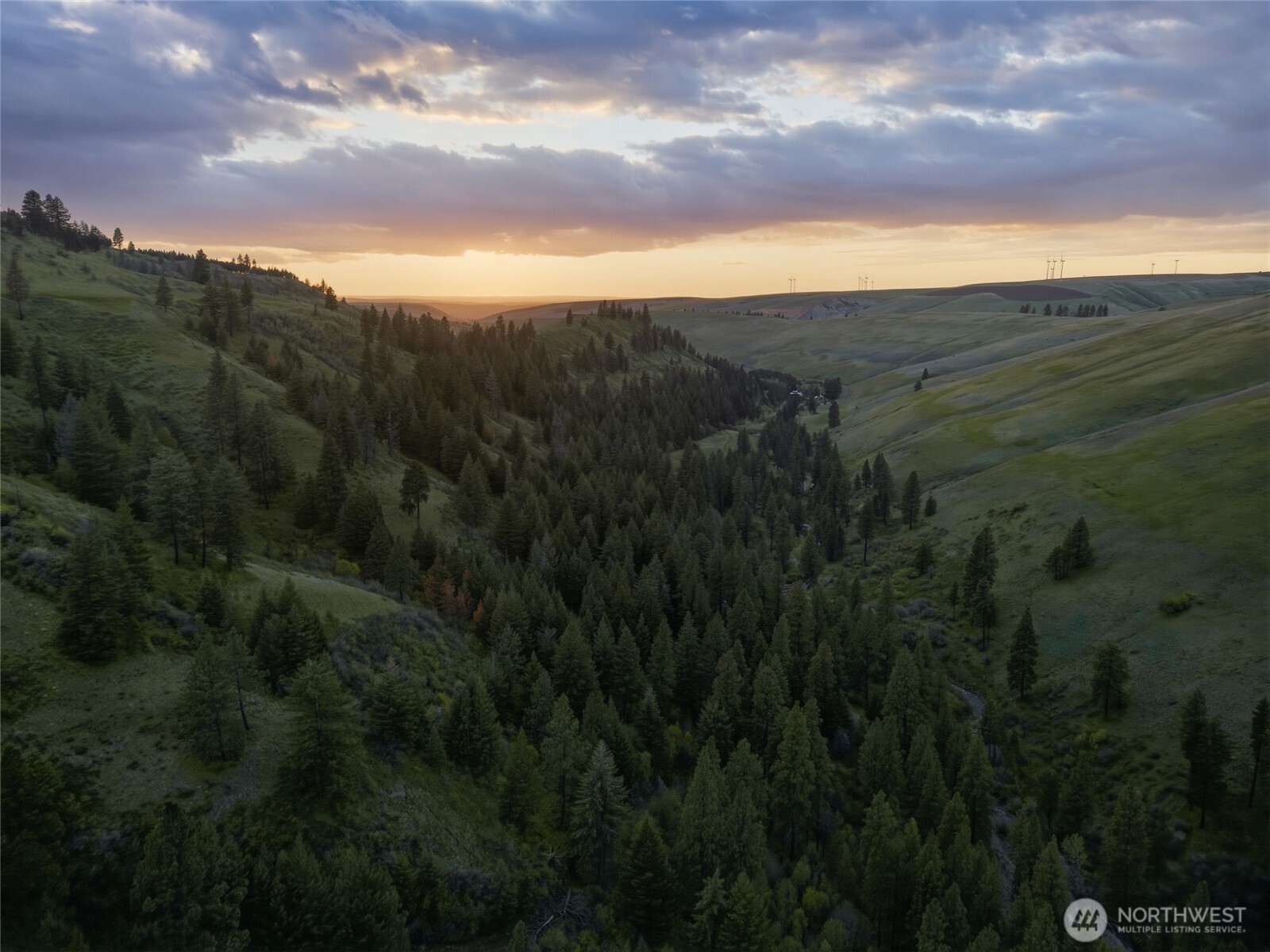 0 South Patit Road Dayton, WA 99328 - Photo 12 of 14 a view of a lush green space with sea