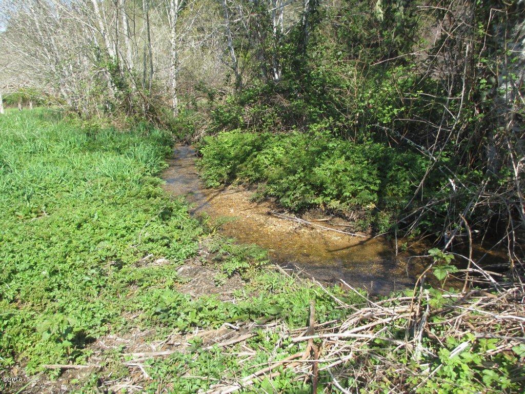 1230 Moonshine Park Road Logsden, OR 97357 - Photo 23 of 34 mostly year round creek