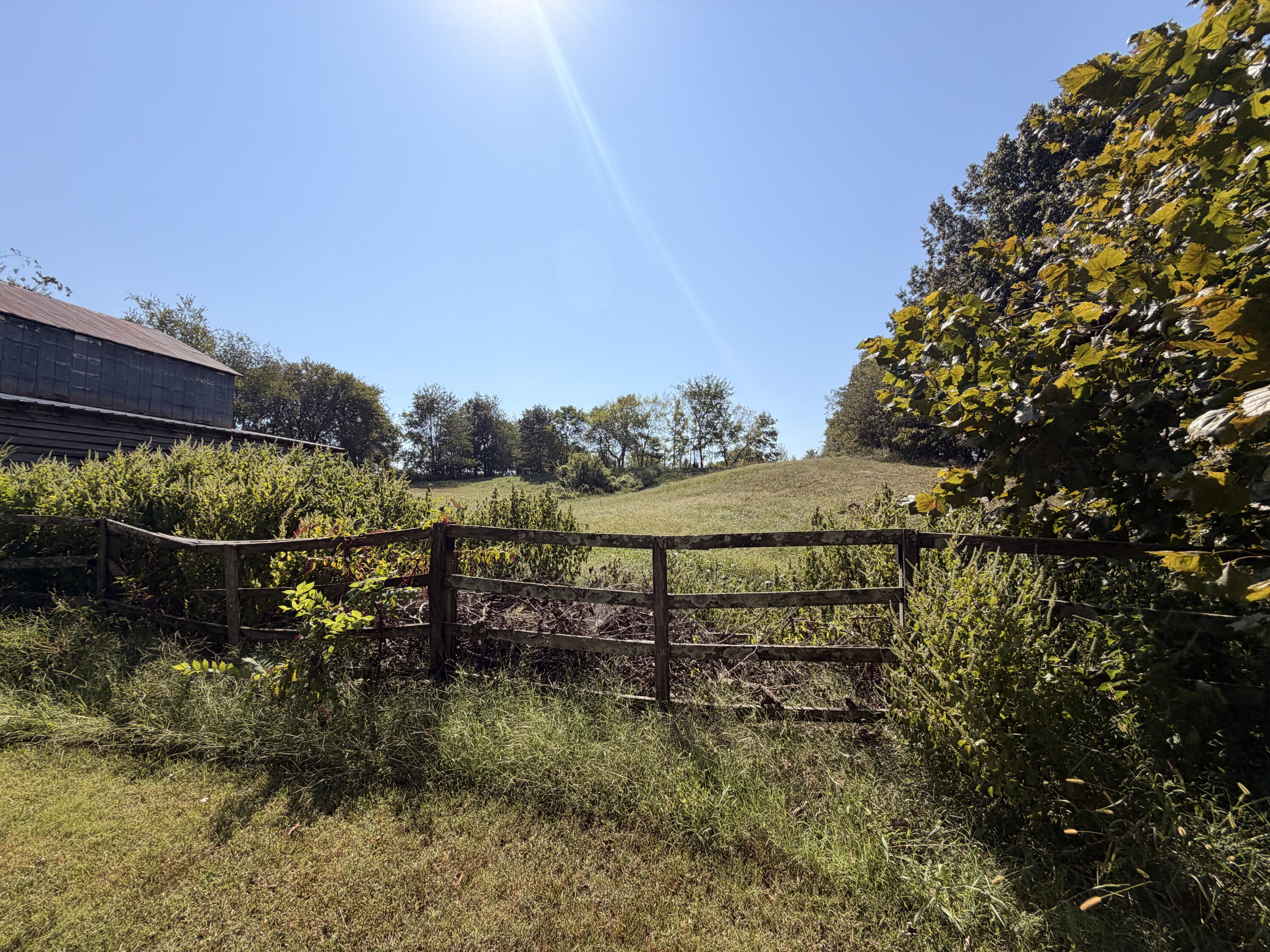 2004 Wingo Road Wingo, KY 42088 - Photo 33 of 34 IMG_7085