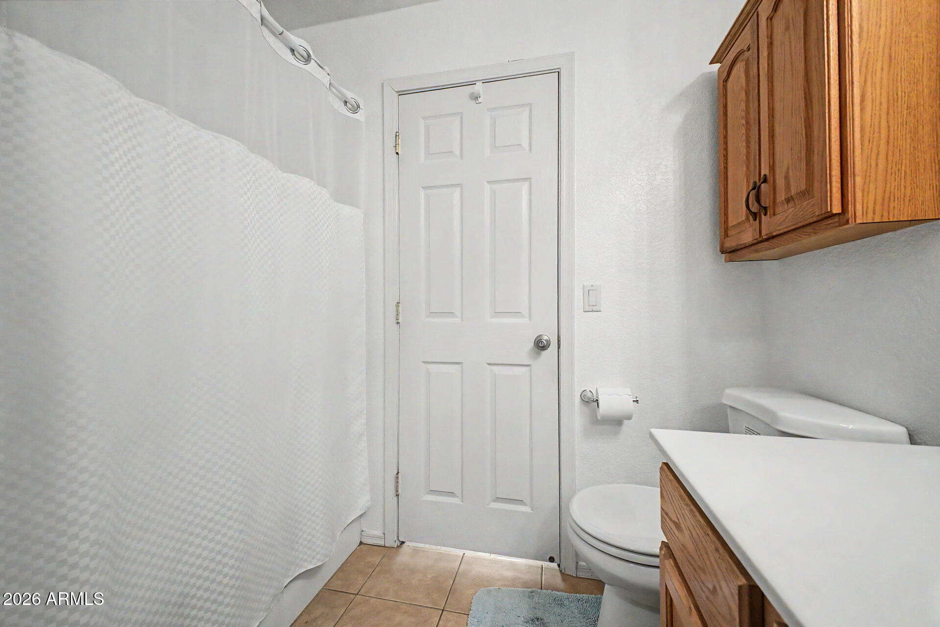 3425 South Loback Lane Gilbert, AZ 85297 - Photo 31 of 52 a bathroom with a sink a toilet and shower curtain