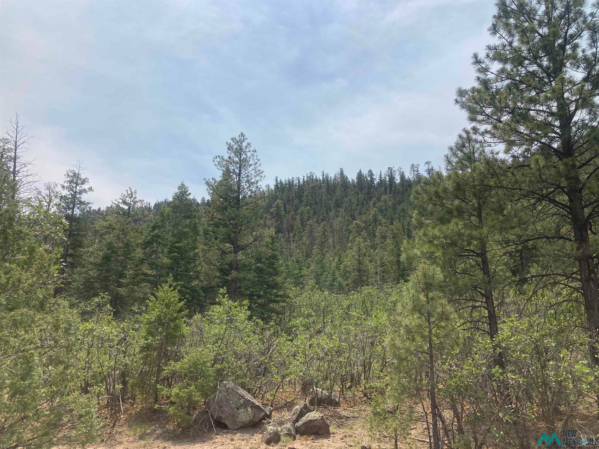 1 Forest Rd100 Road Canones, NM 87516 - Photo 16 of 39 Gallery Image 16