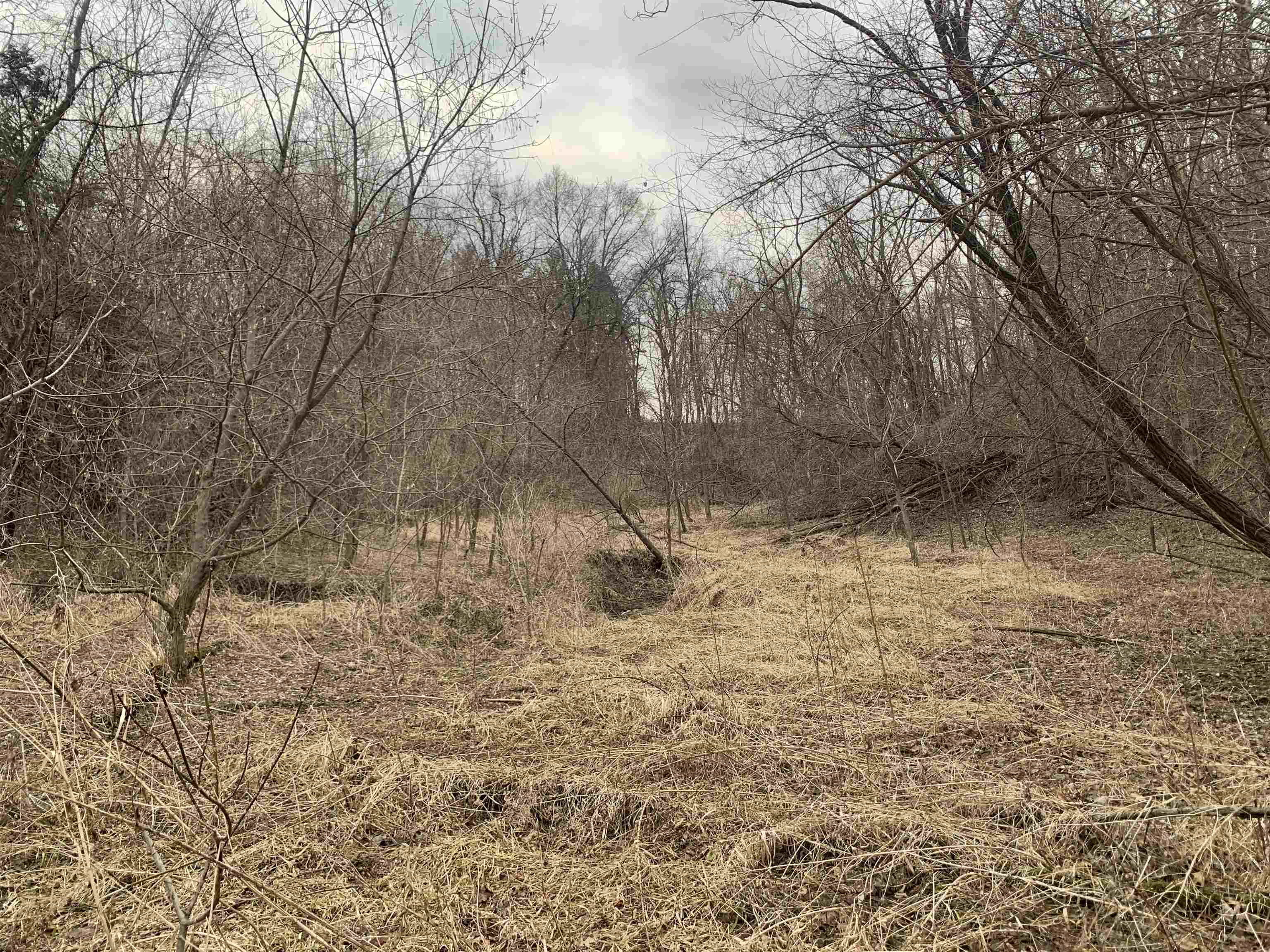 Tbd South Ashby Road Savanna, IL 61074 - Photo 11 of 18 a backyard of a house
