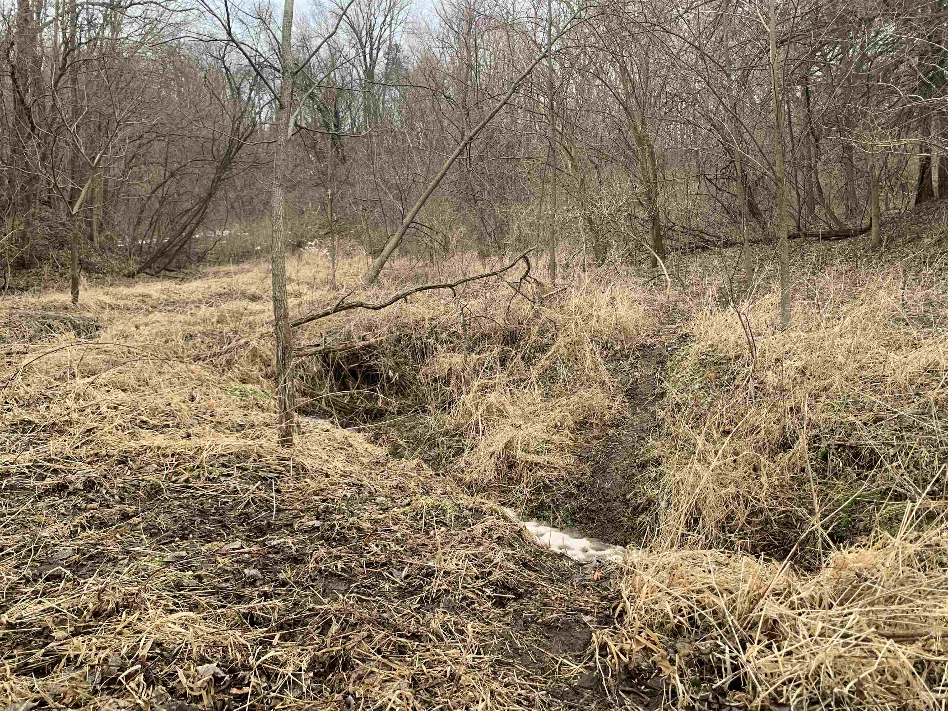 Tbd South Ashby Road Savanna, IL 61074 - Photo 9 of 18 a view of a yard