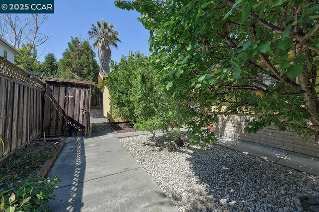 a view of a patio with table and chairs potted plants and large tree