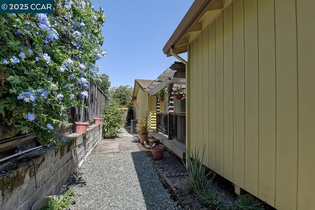 a view of a backyard with plants and trees