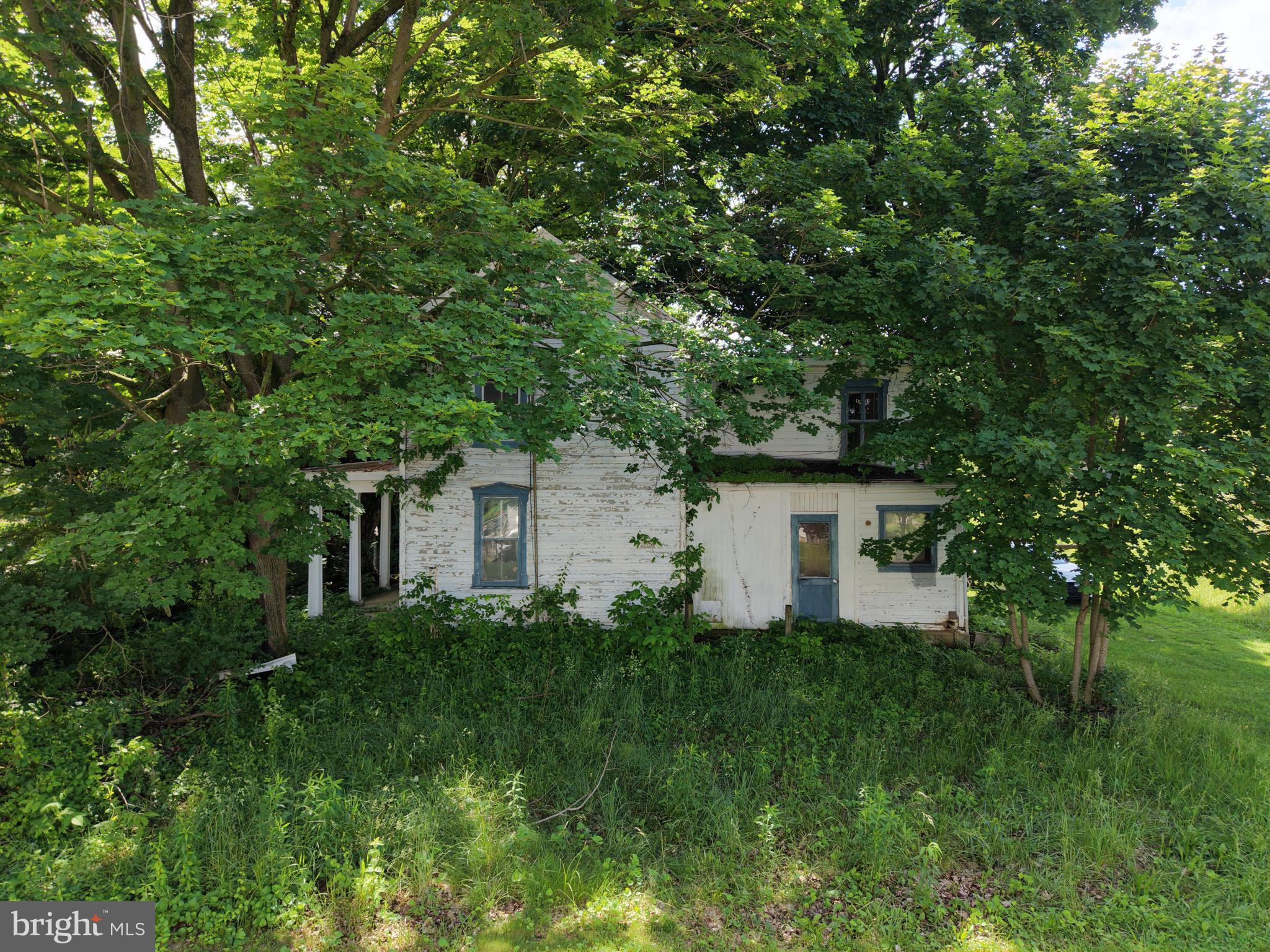 12007 White Hall Road Chewsville, MD 21783 - Photo 7 of 42 a front view of a house with garden