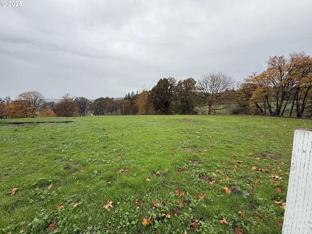 a view of a field with an ocean