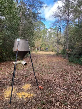 a view of outdoor space and trees