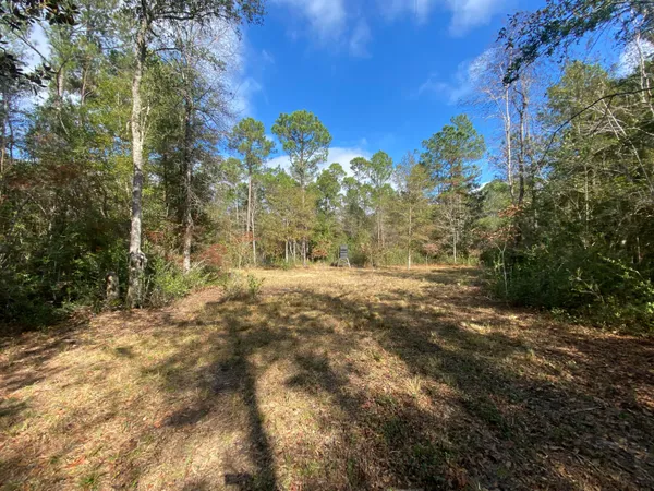 a view of a yard with an outdoor space
