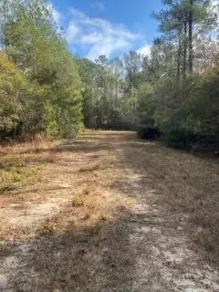 $139,900 | Parcel C West Sunburst Drive, Crestview, FL 32539