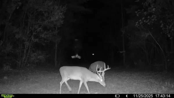 a view of a snow on the beach
