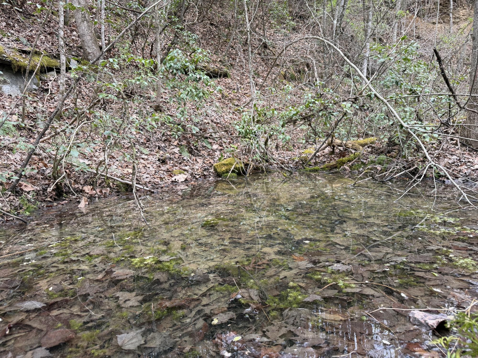 899 Morning Glory Road Oneida, TN 37841 - Photo 22 of 27
