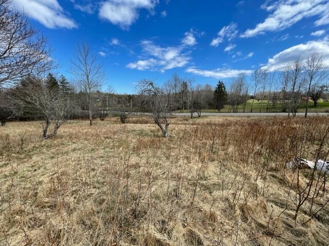 162 Ridge Road Robbinston, ME 04671 - Photo 6 of 24 IMG_1258
