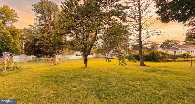 a view of an ocean with a trees