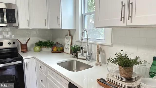 a kitchen with a potted plant and a stove