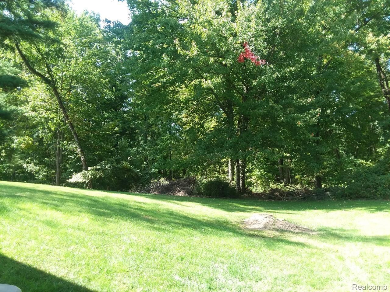 9537 North Fleming Road Fowlerville, MI 48836 - Photo 16 of 17 Walkout bsmt view 2.jpg