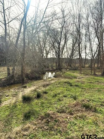a view of a lake and trees in the background