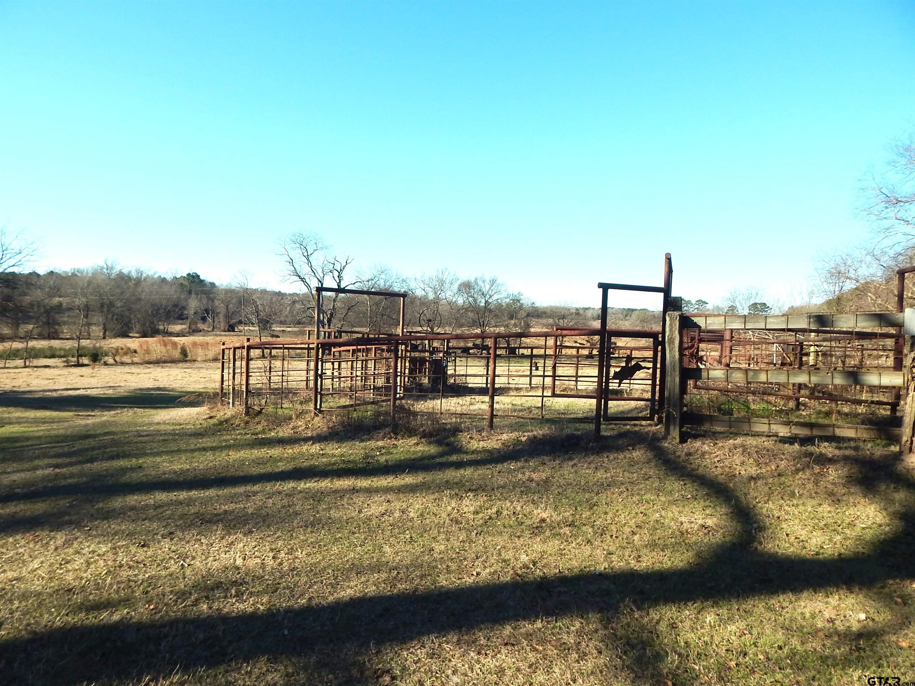 Tbd Squirrel Road Leesburg, TX 75451 - Photo 12 of 25