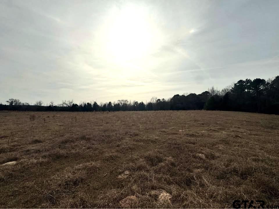 Tbd Squirrel Road Leesburg, TX 75451 - Photo 13 of 25 a view of lake