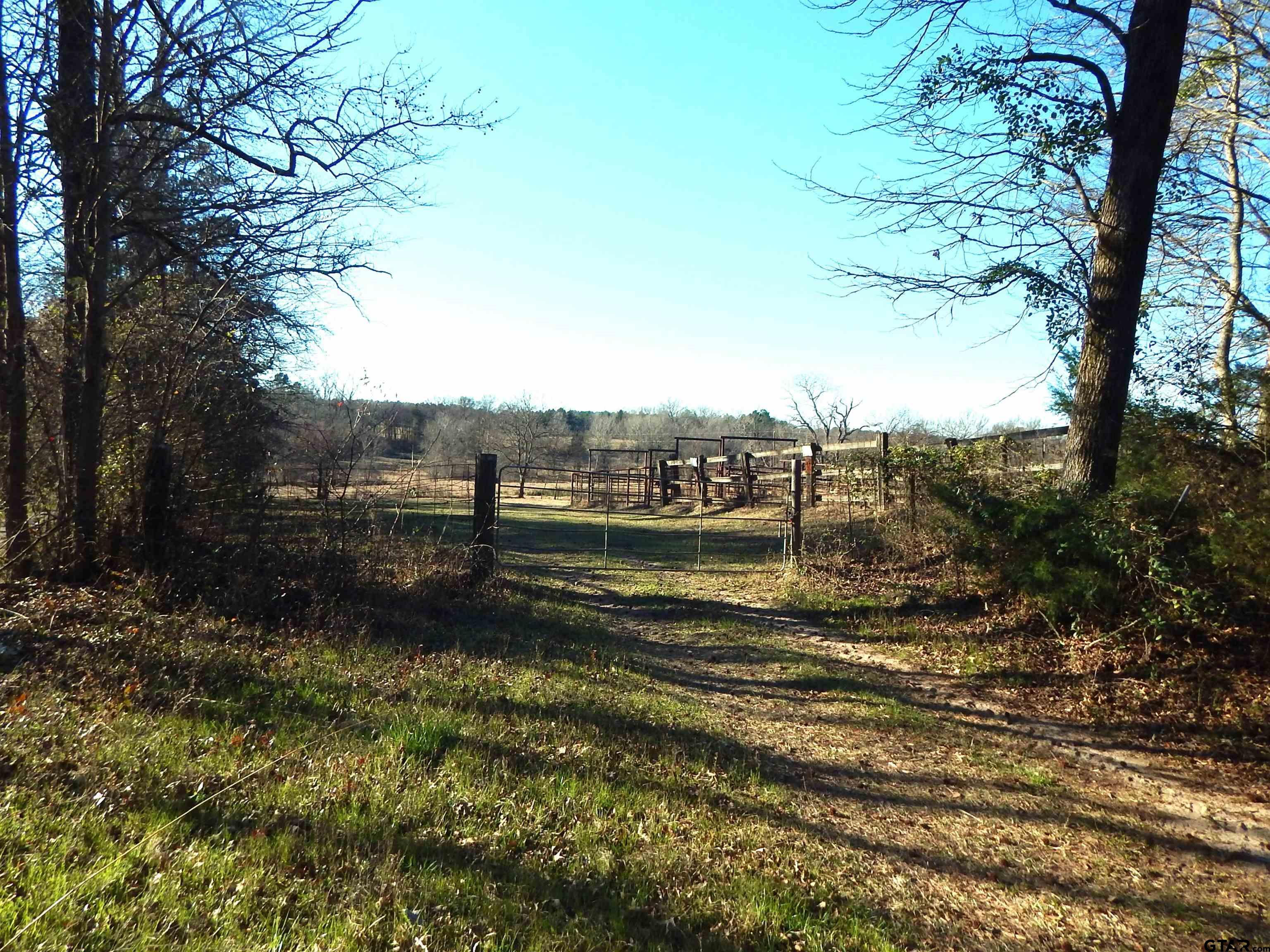 Tbd Squirrel Road Leesburg, TX 75451 - Photo 13 of 25