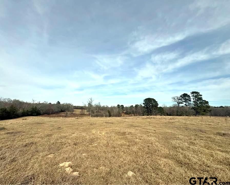 Tbd Squirrel Road Leesburg, TX 75451 - Photo 14 of 25 a view of a lake and trees in the background