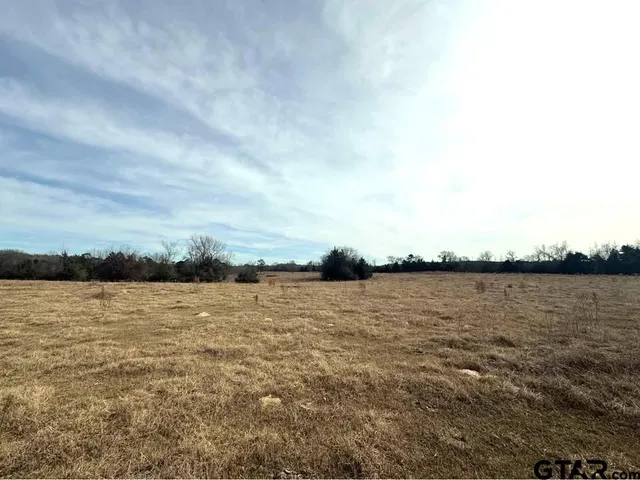 a view of a dry yard with wooden fence