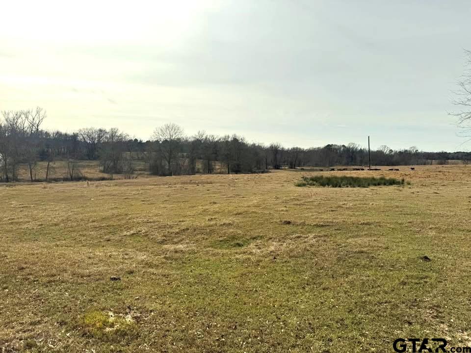 Tbd Squirrel Road Leesburg, TX 75451 - Photo 18 of 25