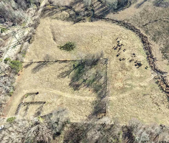 a view of a yard of a yard