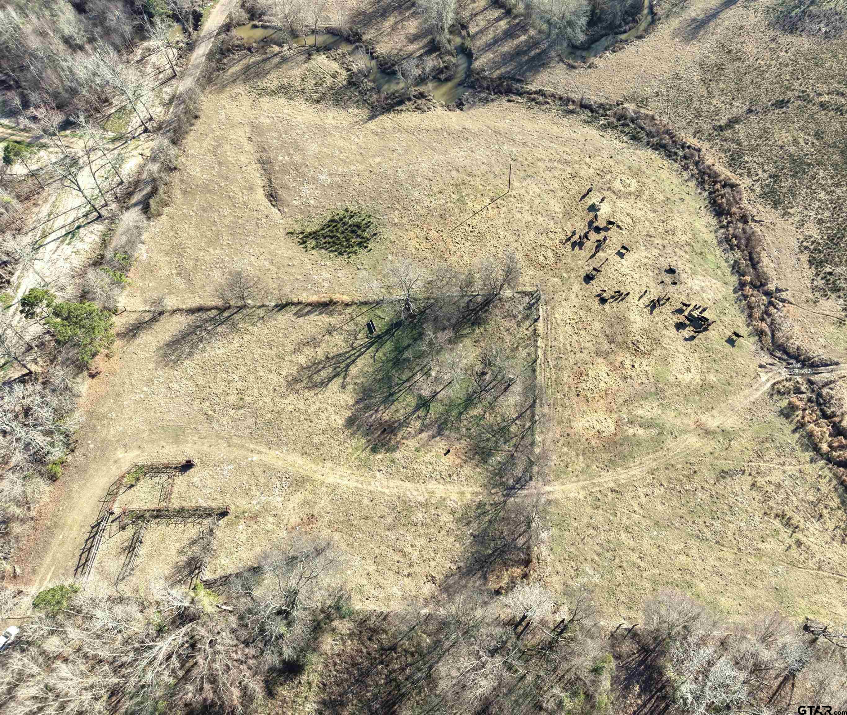 Tbd Squirrel Road Leesburg, TX 75451 - Photo 2 of 25 a view of a yard of a yard