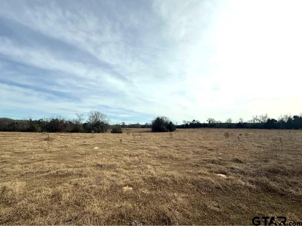 Tbd Squirrel Road Leesburg, TX 75451 - Photo 22 of 25
