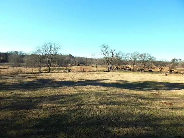 $579,900 | Tbd Squirrel Road, Leesburg, TX 75451