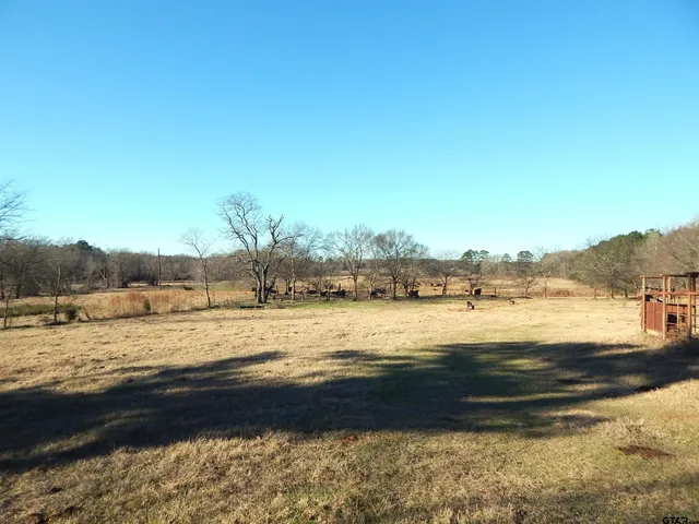 $579,900 | Tbd Squirrel Road, Leesburg, TX 75451