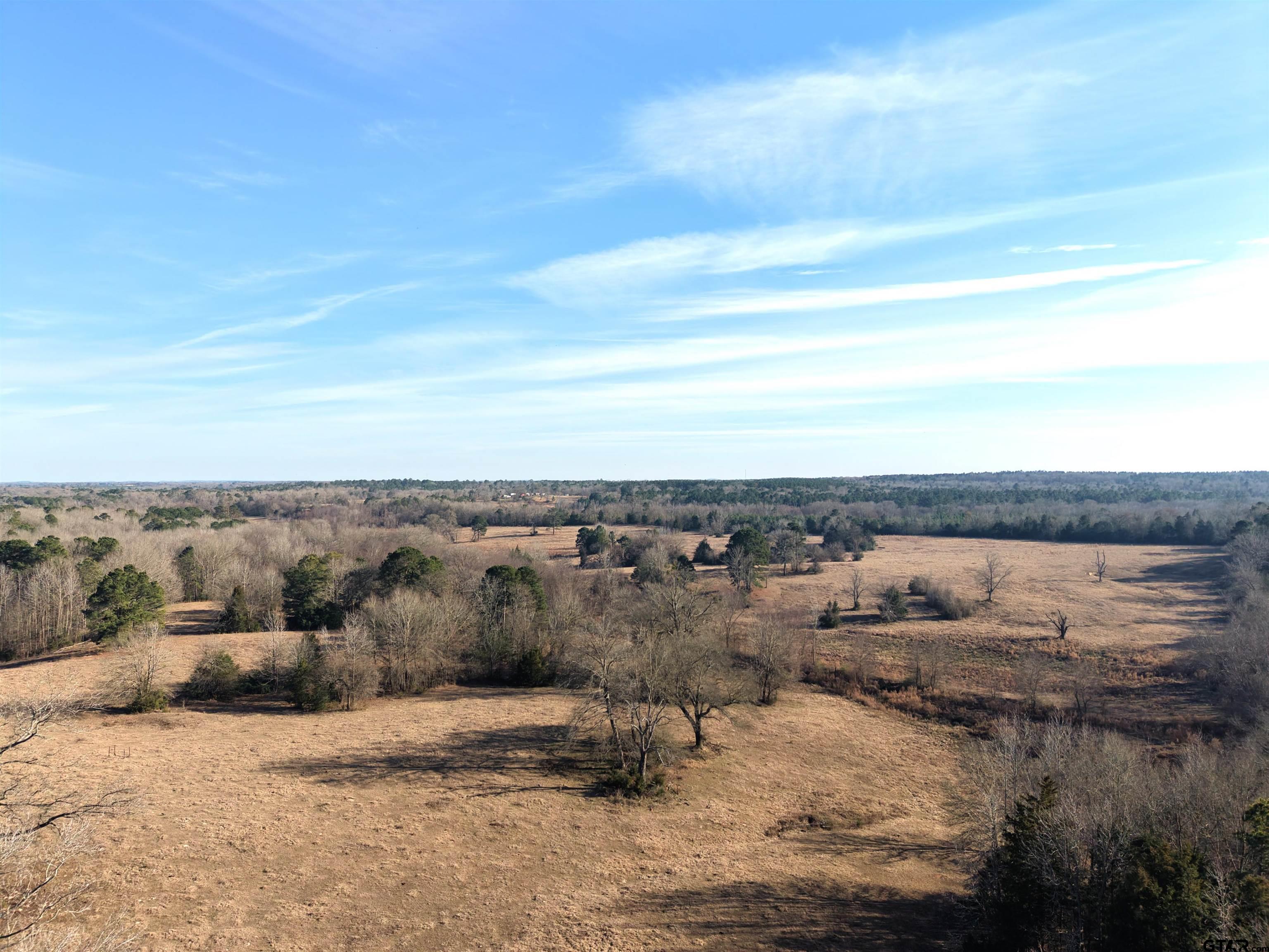 Tbd Squirrel Road Leesburg, TX 75451 - Photo 25 of 25