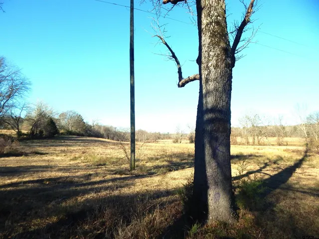 $579,900 | Tbd Squirrel Road, Leesburg, TX 75451