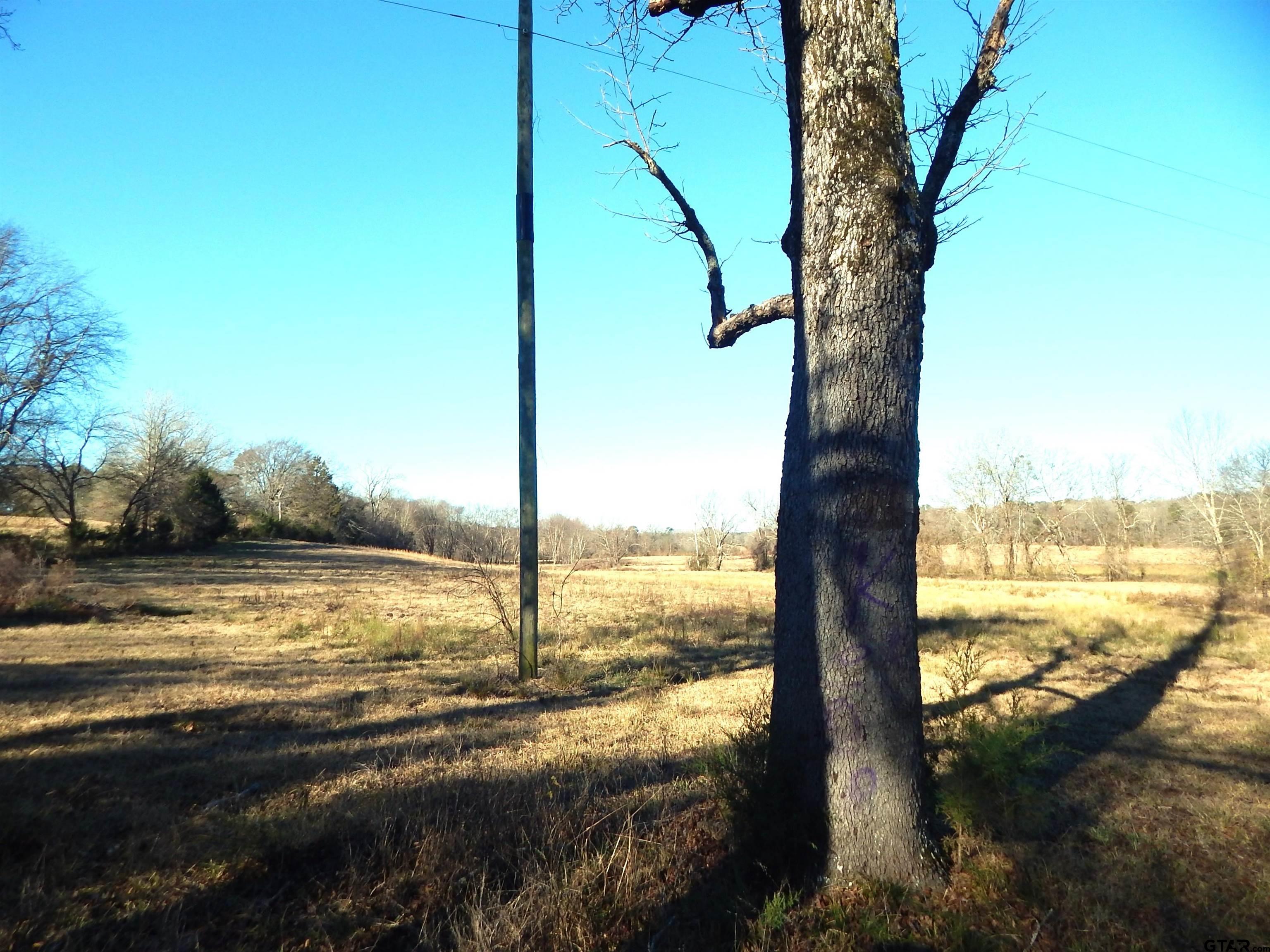 Tbd Squirrel Road Leesburg, TX 75451 - Photo 25 of 25 a view of an ocean