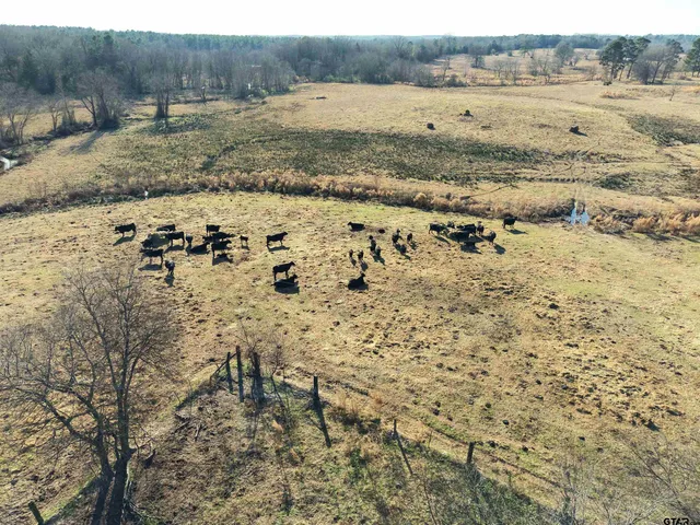 a view of a dry yard with wooden house