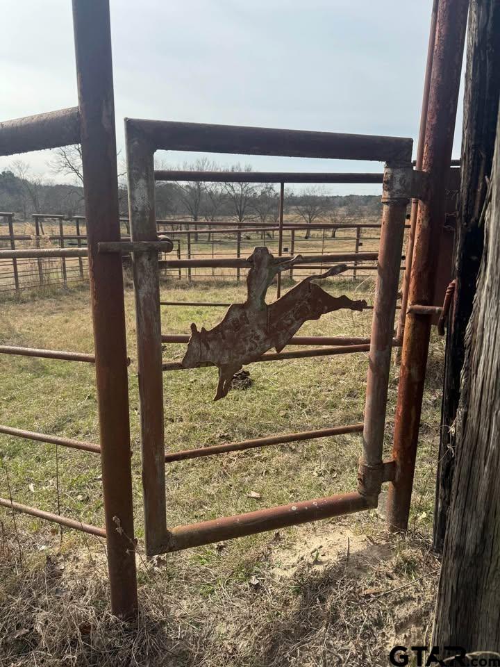 Tbd Squirrel Road Leesburg, TX 75451 - Photo 4 of 25 a view of a porch