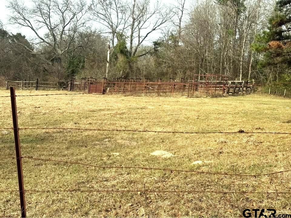 Tbd Squirrel Road Leesburg, TX 75451 - Photo 5 of 25 a view of swimming pool with outdoor space