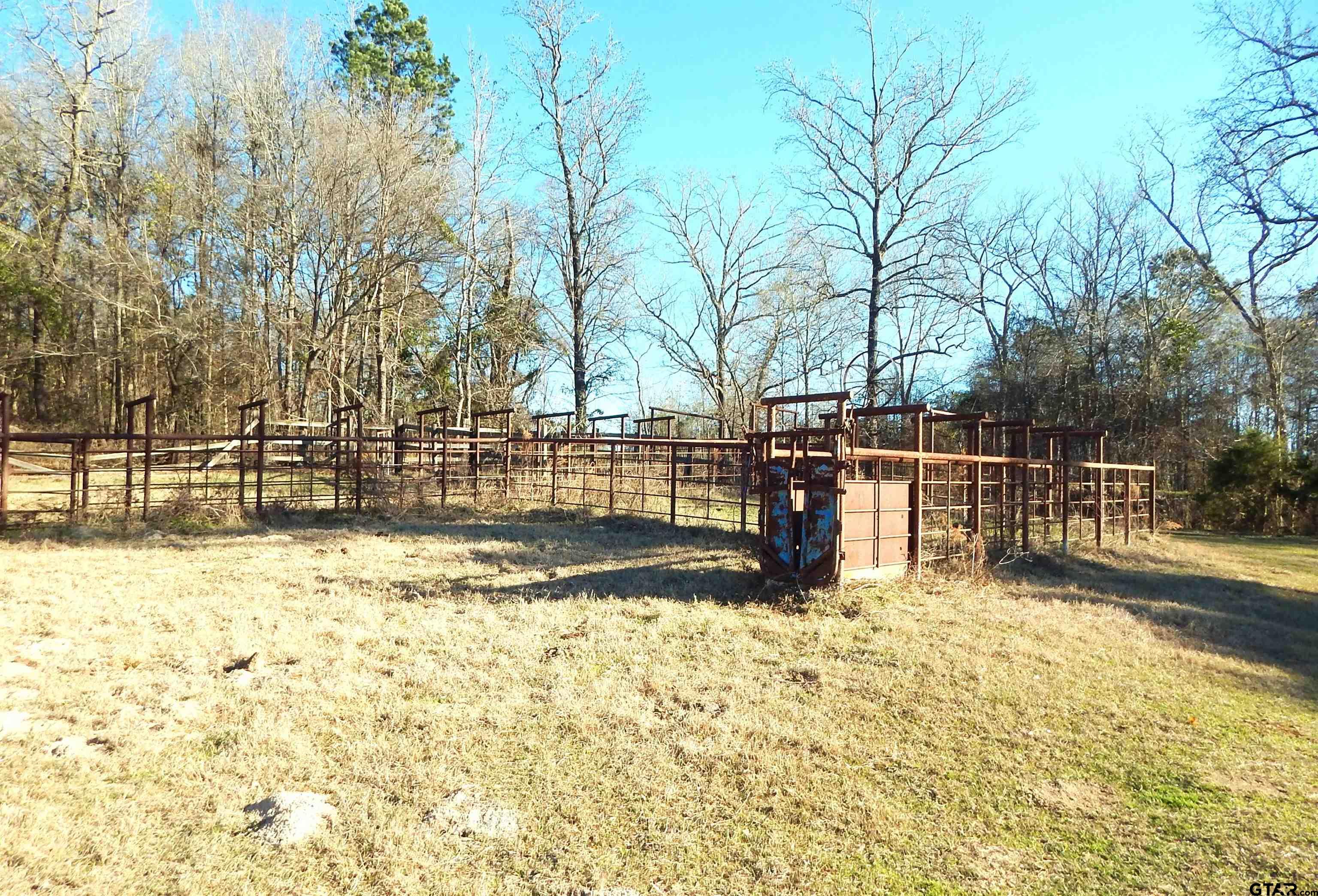 Tbd Squirrel Road Leesburg, TX 75451 - Photo 6 of 25 a view of yard with wooden fence