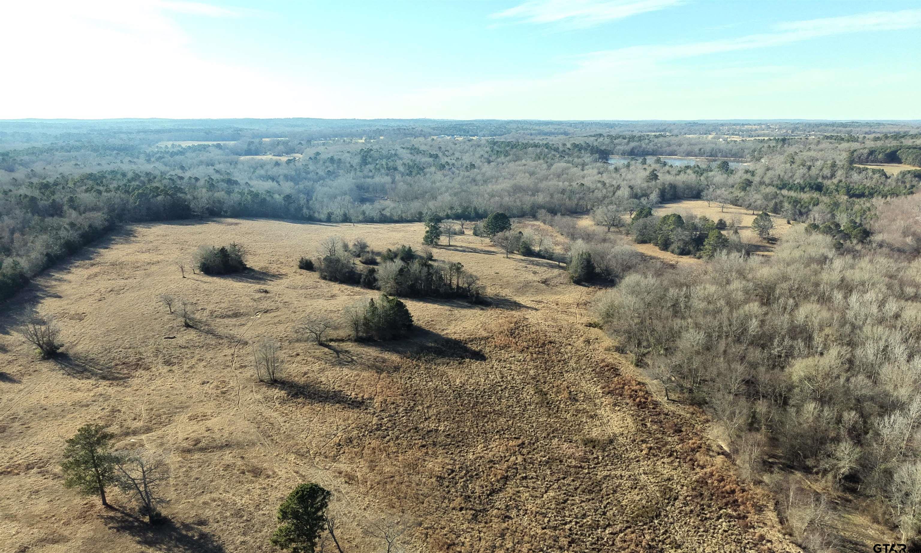 Tbd Squirrel Road Leesburg, TX 75451 - Photo 7 of 25