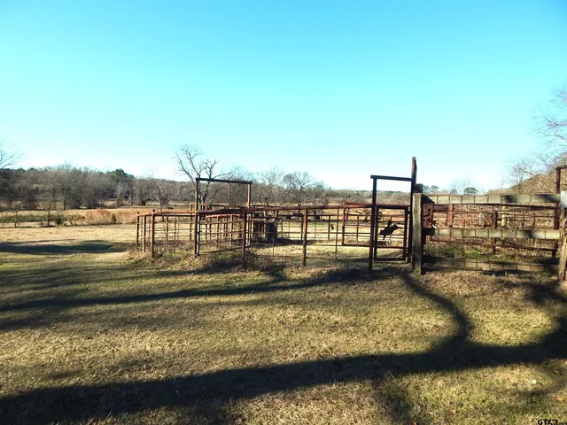 a view of park with large trees