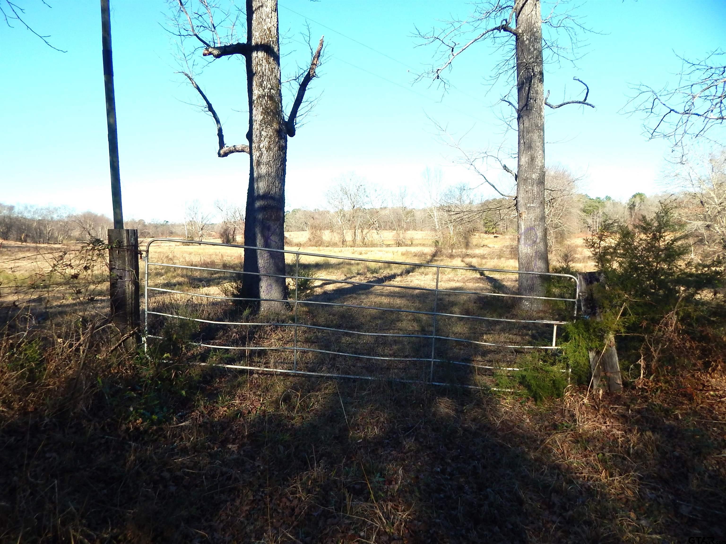 Tbd Squirrel Road Leesburg, TX 75451 - Photo 9 of 25